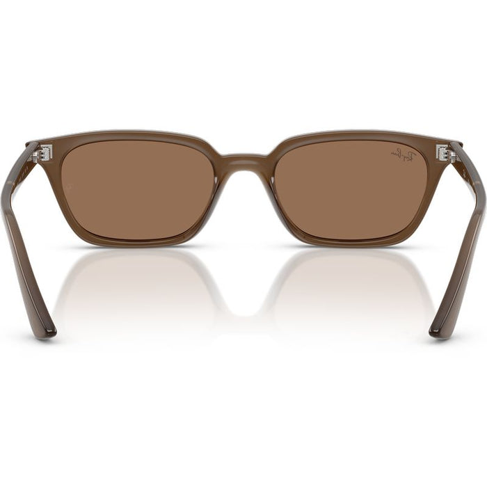 Ray-Ban Zaya RB4456 Transparent Dark Brown Brown Inner Frame