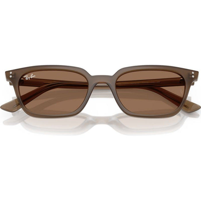 Ray-Ban Zaya RB4456 Transparent Dark Brown Brown Front2